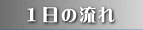 �P���̗���